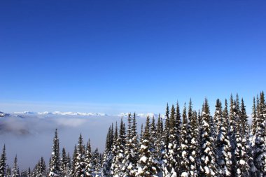Kanada 'da güzel Whistler bir winterwonderland gibi güneşli bir gün, British Columbia