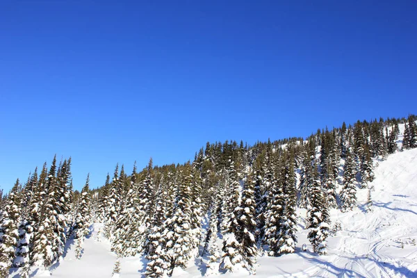 Napsütéses nap, mint a winterwonderland gyönyörű Whistler Kanadában, British Columbia — Stock Fotó