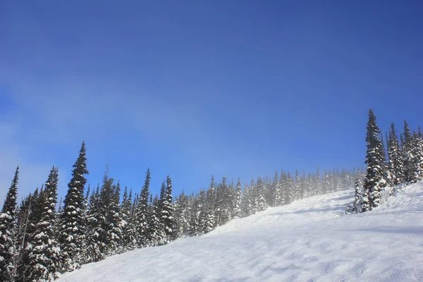 Сонячний день, як у зимовий країні чудес в красивому Вістлері в Канаді, Британська Колумбія — стокове фото