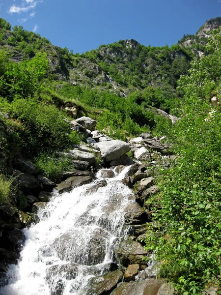 Streem di montagna facendo ist modo attraverso colline boscose in Svizzera — Foto Stock