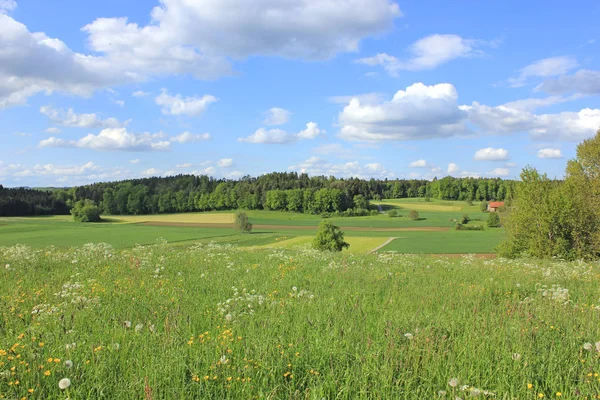 Bella vista sulla campagna e sui campi di volketswil Immagine Stock