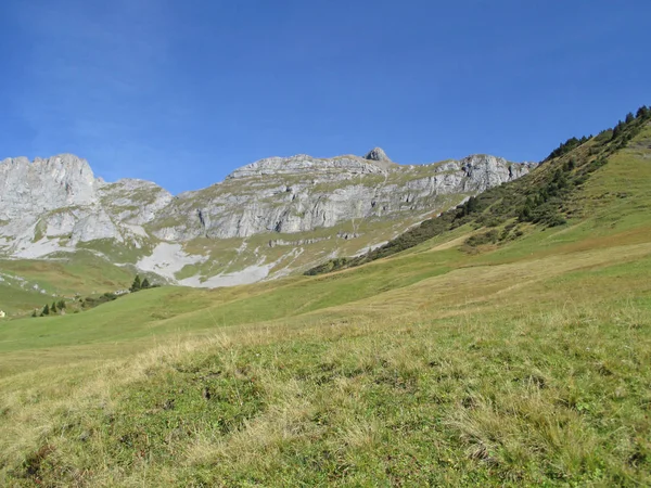 Alpes suizos en verano — Foto de Stock