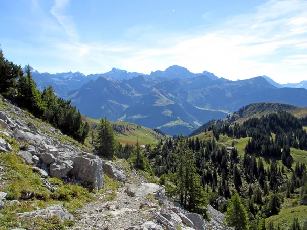 Hiking trail in the swiss mountains in summer — Stock Photo, Image