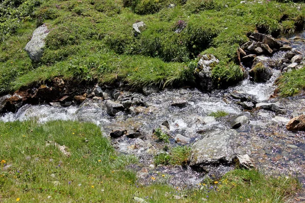 Hegyi patak a svájci Alpokban nyáron — Stock Fotó