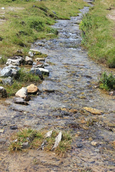 瑞士夏季的山溪 — 图库照片