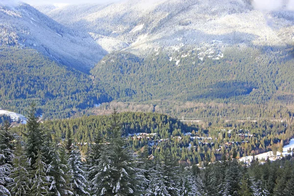 Hóval borított erdők Whistler — Stock Fotó