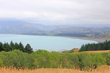 Pasifik Okyanusu Kaikoura 'daki bir tepeden görünüyor.