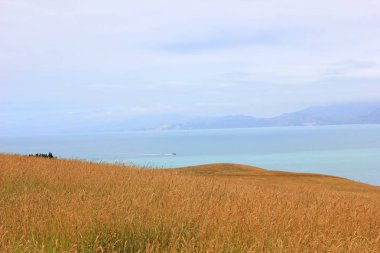 Arka planda Pasifik Okyanusu olan Steppe.