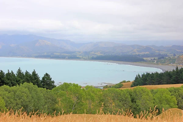 Pacific ocean seen from a hill in Kaikoura — Stock Photo, Image