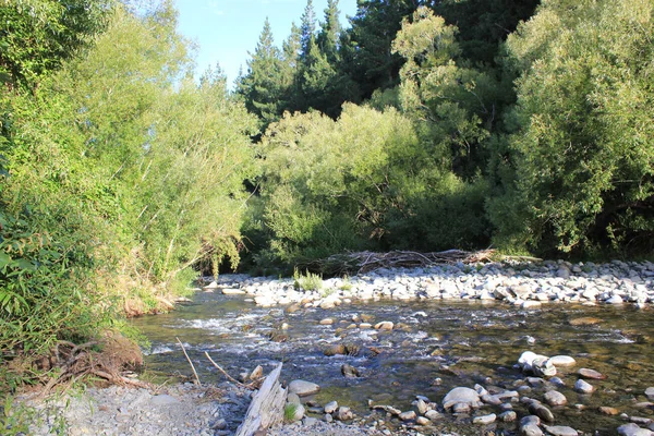 Río rodeado por un bosque —  Fotos de Stock