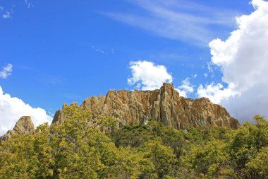 Güneşli bir günde Yeni Zelanda 'daki Clay uçurumları