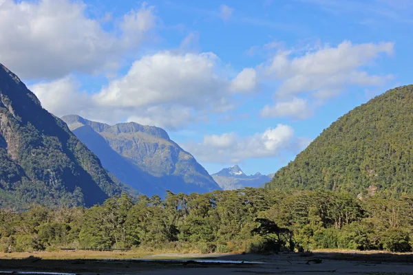 Bosque visto desde el sonido de Milford — Foto de Stock