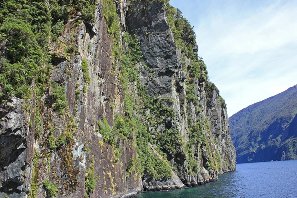 Klippor täckta med gräs och växter i milford sound — Stockfoto