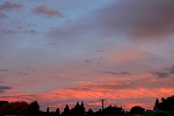 Céu ardente com sombra de árvores — Fotografia de Stock