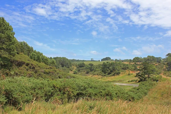 Landschaft in der Nähe der Dombucht an einem sonnigen Tag in Neuseeland — Stockfoto