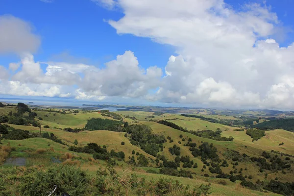 Landschaft auf der Nordinsel Neuseelands — Stockfoto