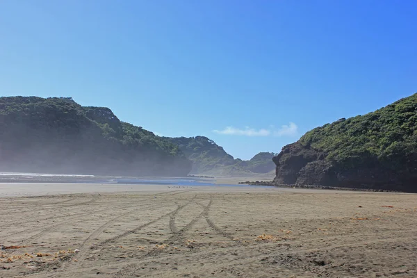 Forests seen from bethells beach — Stock Photo, Image