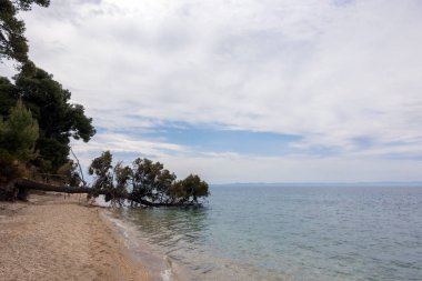 Muhteşem sahne deniz Sithonia, Chalkidiki, Yunanistan bulutlu bir gökyüzü altında tarafından