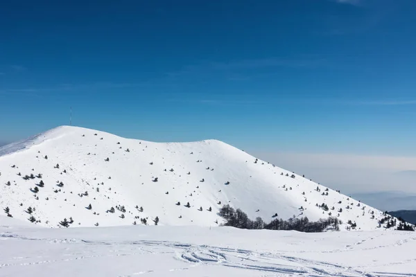 Pistas Nevadas Pigadia Ski Center Naoussa Grecia — Foto de Stock