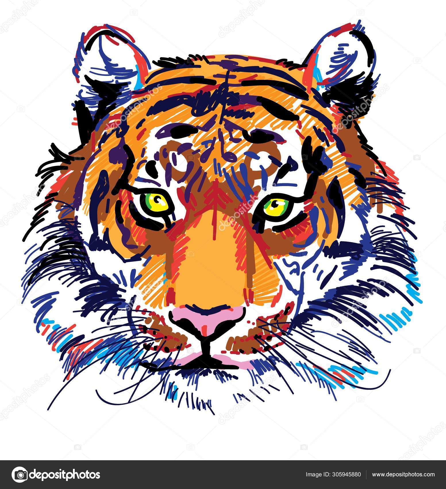 Indian Tiger Tattoo | Tiger-Universe