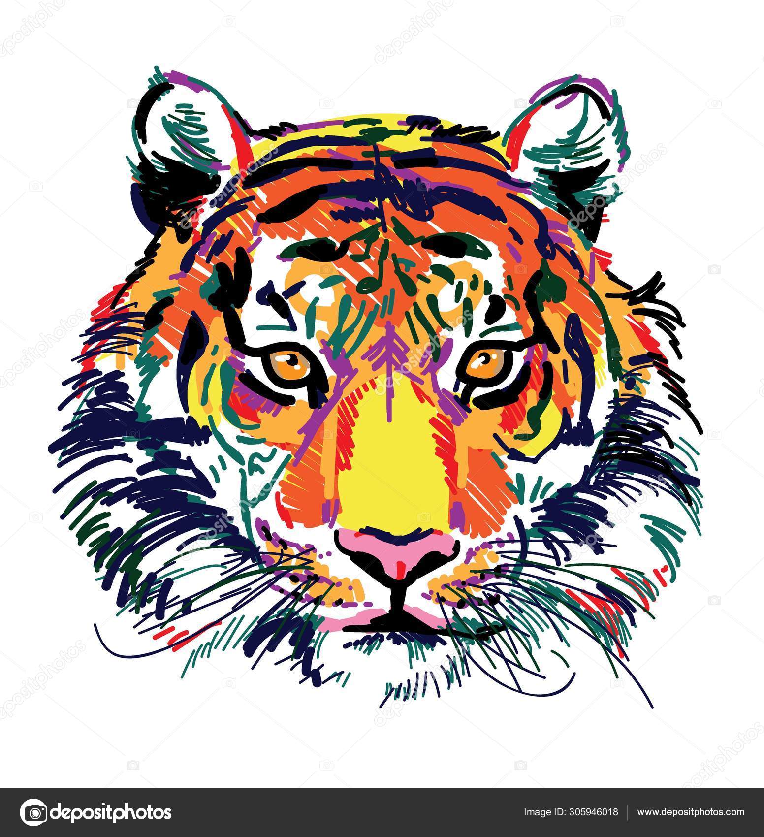 Sketch of tiger face vector illustration  CanStock