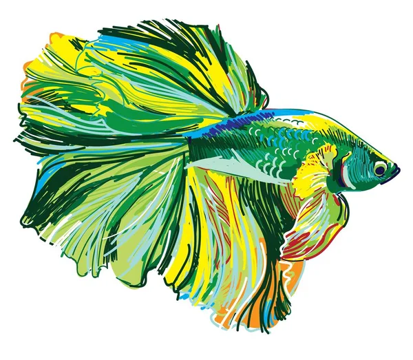 Cockerel Fish Acuario Peces Estampado Elegante Dibujo Mano Alzada Dibujo — Archivo Imágenes Vectoriales