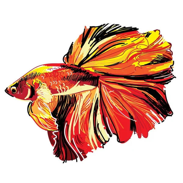 Cockerel Fish Acuario Peces Estampado Elegante Dibujo Mano Alzada Dibujo — Archivo Imágenes Vectoriales