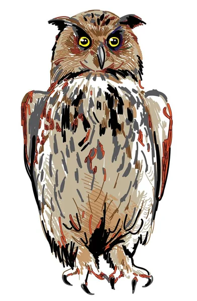 フクロウは翼を広げるハエ 手で描く マーカーを描く 多色のスタイリッシュなパターン フライングバード — ストックベクタ