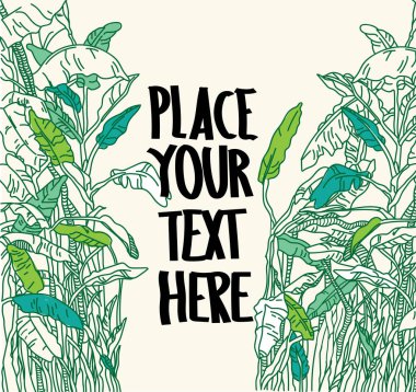 Palmiye ağaçları ile şık arka plan. Muz palmiye ağaçları, büyük yapraklar. Egzotik bitkiler.