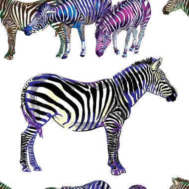 Zebralar ile dikişsiz desen. Çok renkli atlar, çizgili zebra. Pop Art. Şık renkli arka plan. Yaz baskısı. Figürlü işaretler.