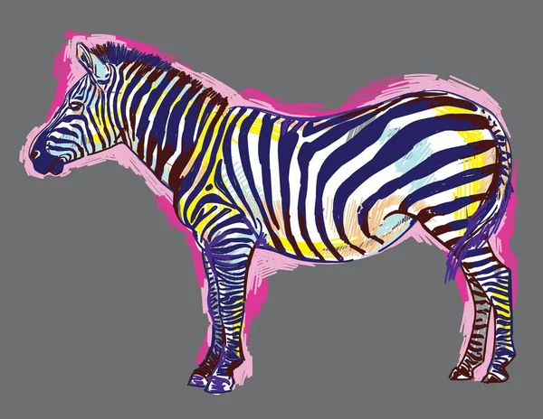 Zebra Mönster Markörer Popkonst Ljust Tryck Färgade Fläckar Frihandsteckning Zebra — Stock vektor