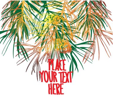 Köknar dalları ile arka plan. Kış arka planı.