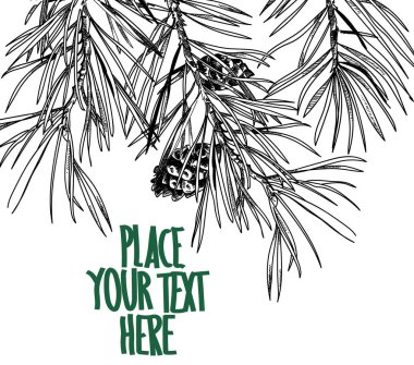 Köknar dalları ile arka plan. Kış arka planı.