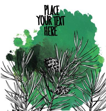 Köknar dalları ile arka plan. Suluboya lekeleri, boya spreyi ile kış arka plan.