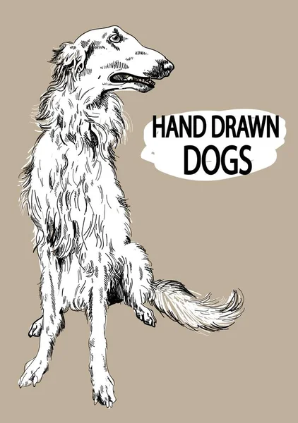 Borzoi Ruso Dibujo Mano Estilo Vintage Razas Perros — Vector de stock