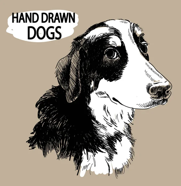 Bernese Dog Górski Rysunek Ręcznie Stylu Vintage Puszysty Pies — Wektor stockowy