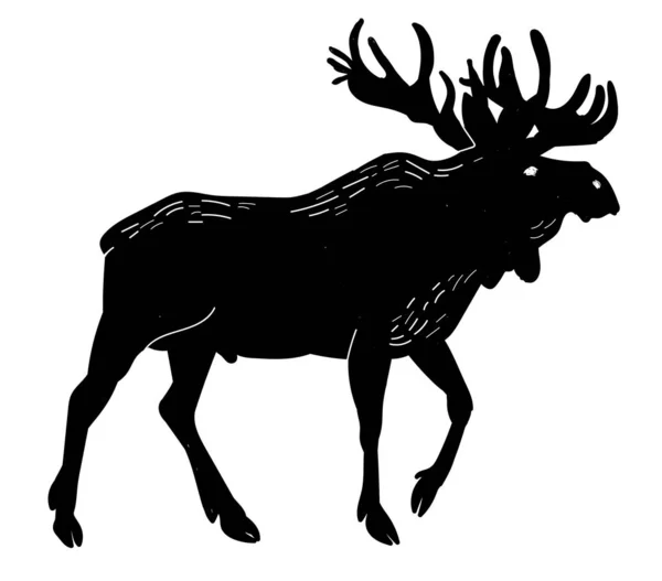 Obvod Elk Kresba Ruky Starožitstylu Dospělý Jelík Velkými Parohy — Stockový vektor