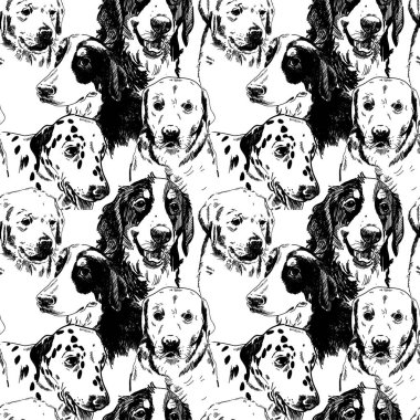 Köpeklerde kusursuz desen. Köpek yetiştirir. Labrador Retriever, zinenhund. Eski usul elle çizim.