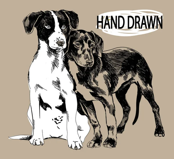 Zwei Welpen Zeichnung Von Hand Vintage Stil Kinderzeichnung Hund Entdeckt — Stockvektor