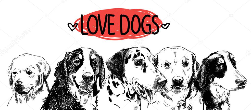 Love the dogs! Poster, postcard, print. Dogs of different breeds. freehand drawing in vintage style.