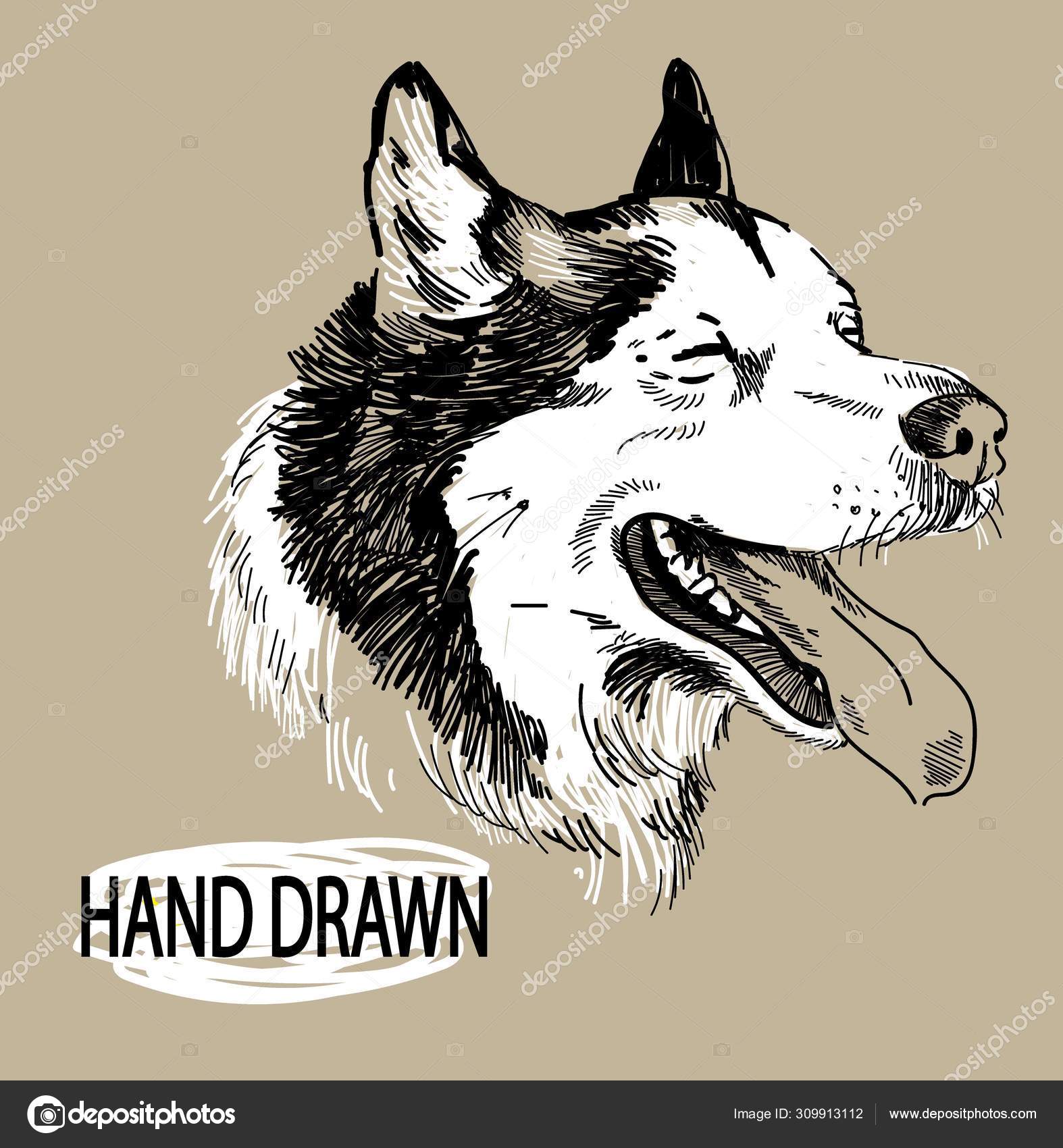 Dog Smiles Happy Dog Husky Open Mouth Dog Stuck Out Stock Vector by