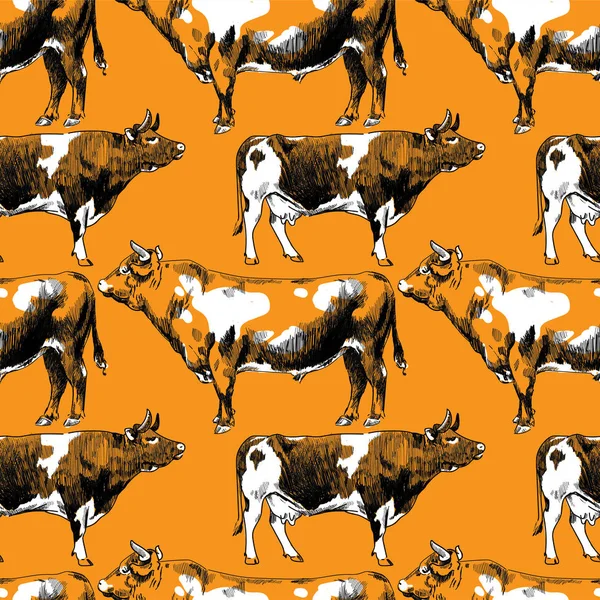 Απρόσκοπτη Συμπεριφορά Αγελάδες Ελεύθερη Ζωγραφιά Βίντατζ Φόντο Αγελάδες Και Ταύροι — Διανυσματικό Αρχείο