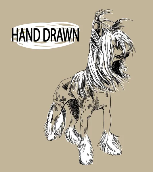 中国の紋章犬 ヴィンテージスタイルで手描き 犬が立ち 毛皮が風の中で発達する 斑点のある犬 — ストックベクタ
