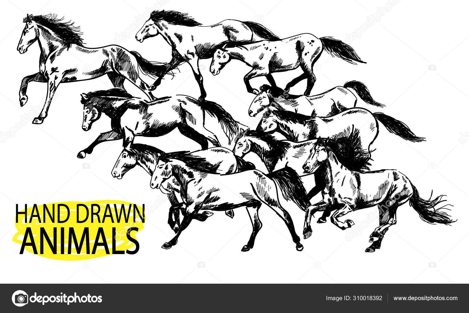 Outlined wild horse cartoon character running – Royalty-Free Vector |  VectorStock, image size:1600x1067