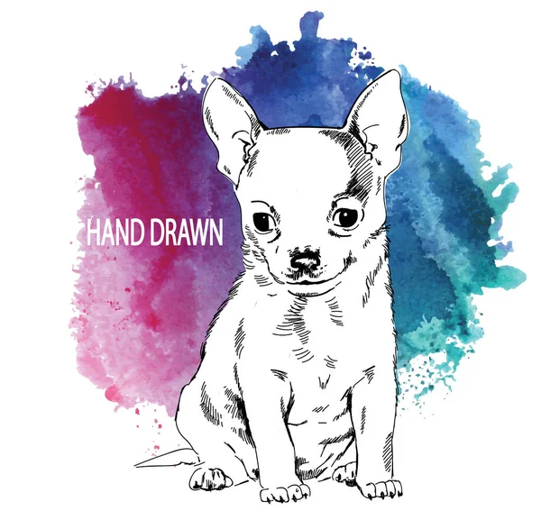Niedliche Kleine Welpen Welpen Chihuahua Zeichnung Von Hand Vintage Stil — Stockvektor