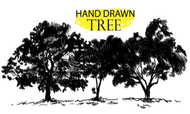 Bahçedeki ağaçlar. Eski tarz bir figür. Zeytin ağaçları, elma ağaçları .