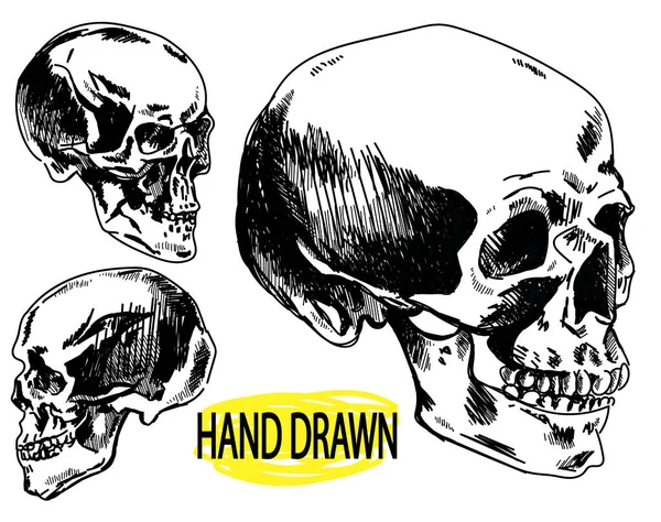 Human Skull Drawing Hand Ink Skull Profile — ストックベクタ