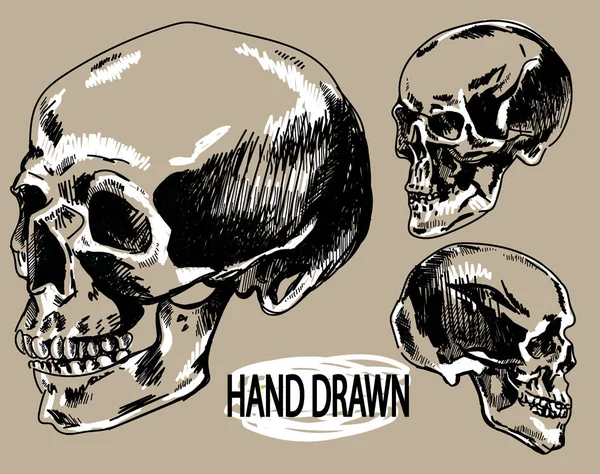 Human Skull Drawing Hand Ink Skull Profile — ストックベクタ
