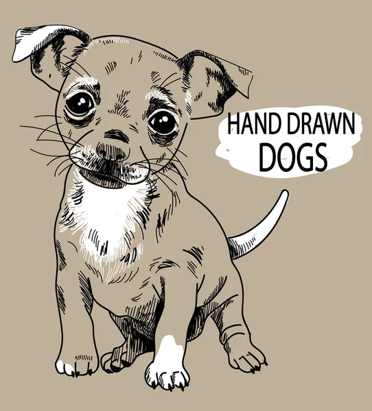 Lindo Perrito Chihuahua Cachorro Dibujo Mano Estilo Vintage — Vector de stock
