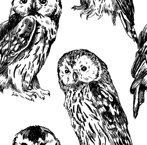 Baykuşlarda Pürüzsüz Desen Vintage Tarzında Yazması Çizim — Stok Vektör